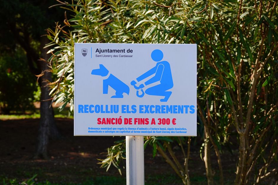 A rectangular outdoor sign mounted on a metal post in front of dense green shrubbery and trees, displaying instructions in Catalan regarding the collection of dog waste. The sign features a blue graphic of a person kneeling and using a bag to pick up dog excrement, accompanied by an illustration of a dog sitting nearby. The text includes bold blue and red lettering, with the blue reading 'RECOLLUI EL EXCREMENTS' and the red stating 'SANCIÓ DE FINNS A 300 €'. Additional information in smaller blue text explains municipal regulations about dog waste management and penalties. The sign is positioned in a public space, indicating local regulations concerning pet waste collection, with sunlight casting shadows and illuminating the details clearly. This context reflects community rules relevant to residential or urban moving environments managed by local authorities, similar to those in house removal or relocation services such as Man With a Van Stepney.